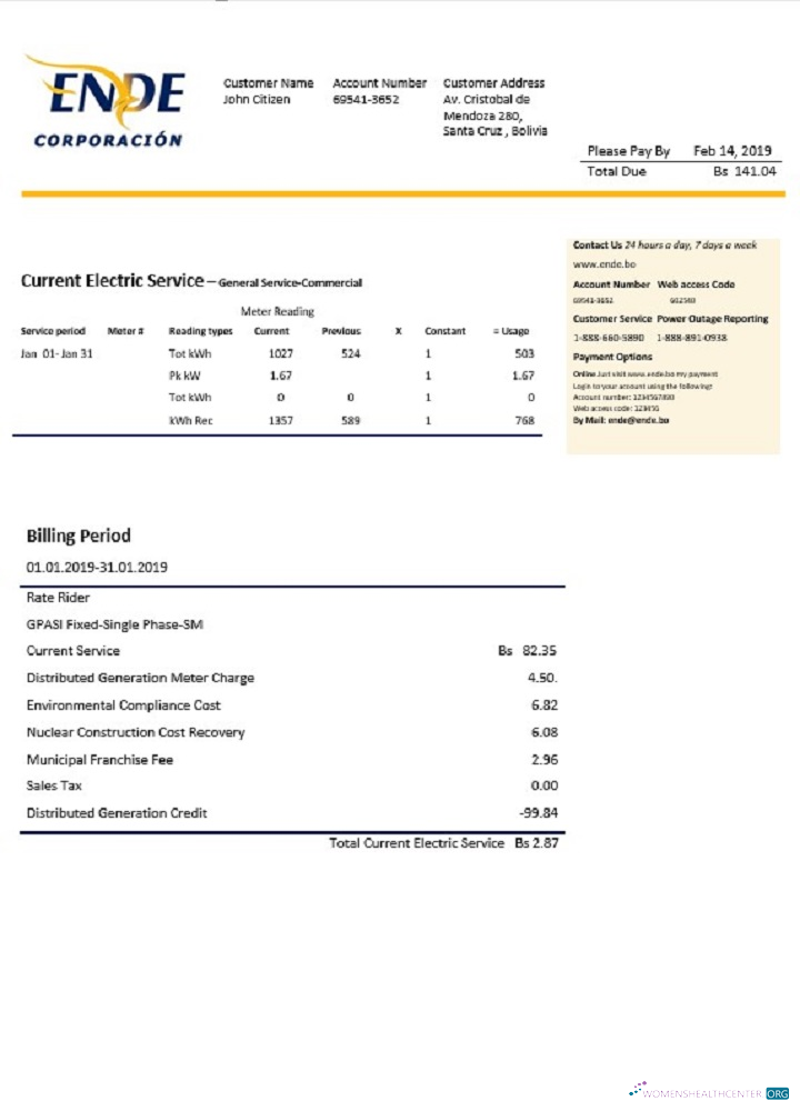 download download Bolivia ENDE Corporacion electricity utility bill